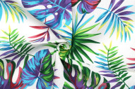 Tissu Bachette Coton Imprimé Palm Multicolor -Au Mètre