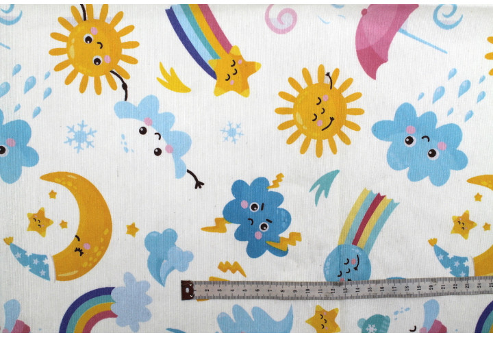 Tissu Bachette Coton Imprimé Météo -Au Mètre