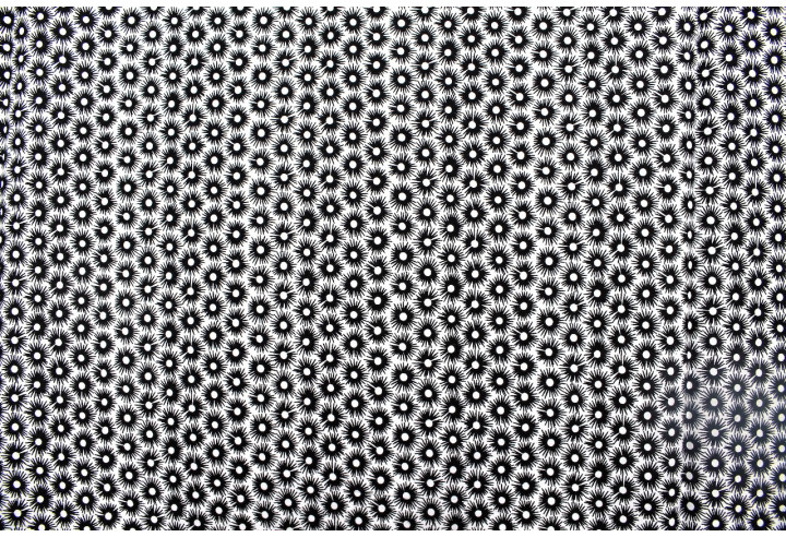Tissu Popeline Coton Imprimé Fleur Medusa Noir -Au Mètre