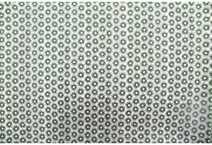 Tissu Popeline Coton Imprimé Fleur Medusa Tilleul -Au Mètre