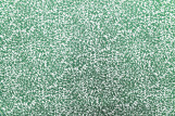 Tissu Popeline Coton Imprimé Minibranche Vert -Au Mètre