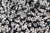 Tissu Viscose Imprimé Fleur Jada Noir -Au Mètre