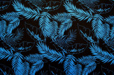 Tissu Popeline Coton Imprimé Plumo Noir/Bleu -Au Mètre