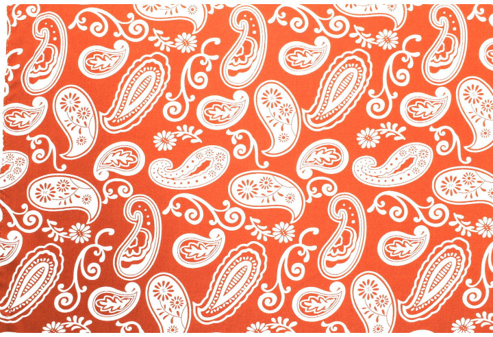 Tissu Popeline Viscose Imprimé Paisley Orange -Au Mètre