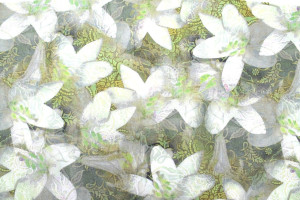 Tissu Gabardine Viscose Imprimé Fleur Étoile Jaune de Qualité, Tissu au mètre, Tissu pas cher - Alltissus.com 2