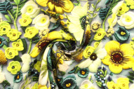 Tissu Gabardine Viscose Imprimé Fleur Chic Anis de Qualité, Tissu au mètre, Tissu pas cher - Alltissus.com