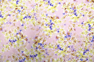 Tissu Gabardine Viscose Imprimé Fleur Cassandra Rose de Qualité, Tissu au mètre, Tissu pas cher - Alltissus.com 2