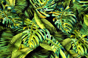 Tissu Gabardine Viscose Imprimé Fond Noir Palm Anis de Qualité, Tissu au mètre, Tissu pas cher - Alltissus.com 2