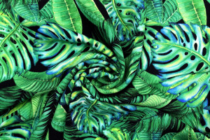 Tissu Gabardine Viscose Imprimé Fond Noir Palm Vert de Qualité, Tissu au mètre, Tissu pas cher - Alltissus.com