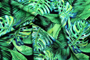 Tissu Gabardine Viscose Imprimé Fond Noir Palm Vert de Qualité, Tissu au mètre, Tissu pas cher - Alltissus.com 2
