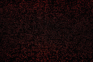 Tissu Maille Lurex Noir/Rouge -Au Metre 2
