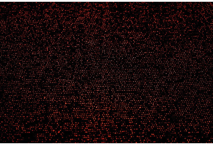 Tissu Maille Lurex Noir/Rouge -Au Metre