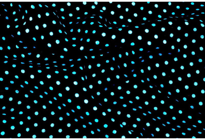 Tissu Viscose Imprimée Petit Pois Noir/Turquoise -Au Mètre